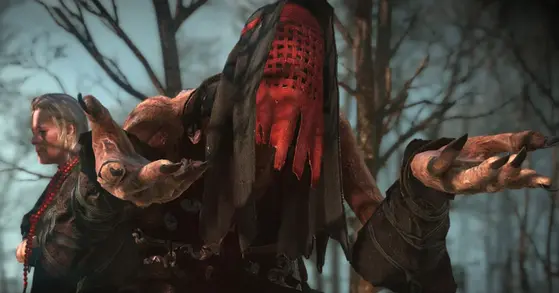 The Witcher 3 : Wild Hunt