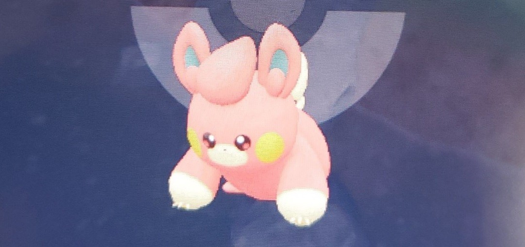 Pohm Pokémon Violet Ecarlate Comment le faire évoluer en Pohmotte et Pohmarmotte ? Millenium