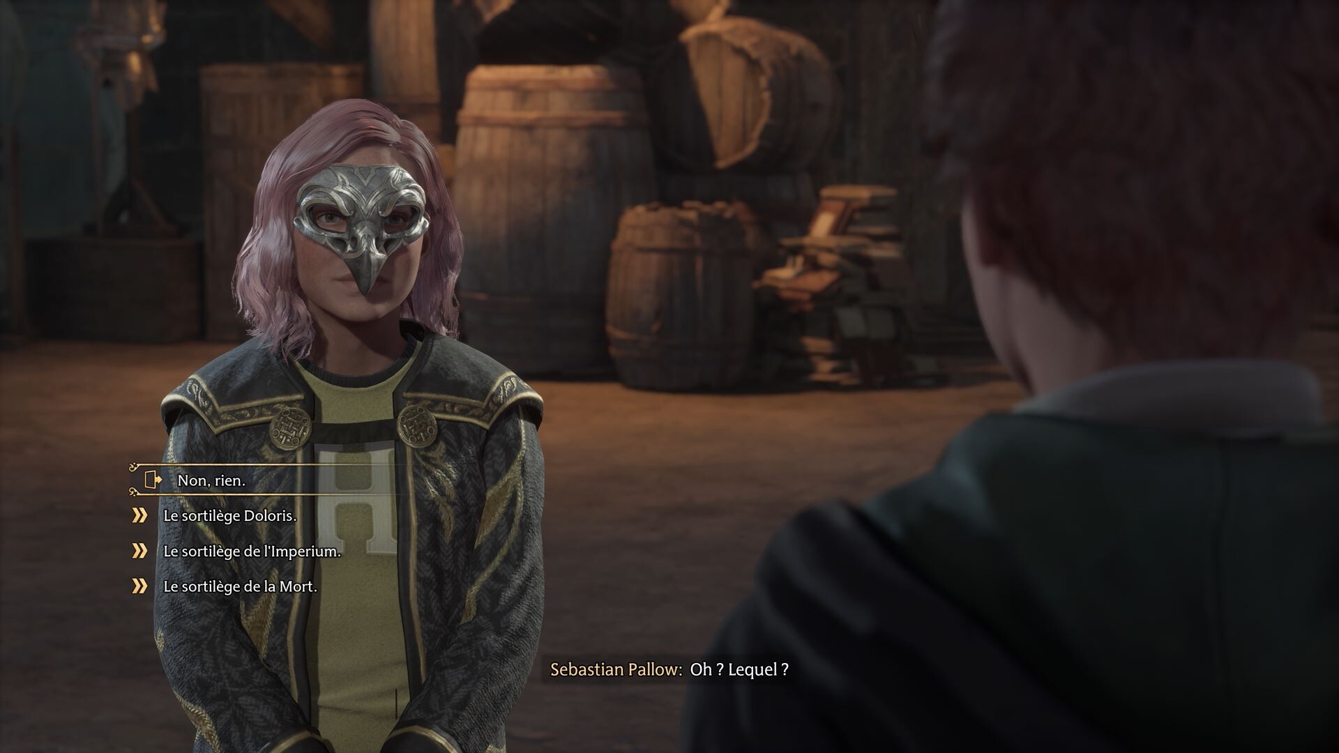 Hogwarts Legacy Fautil dénoncer Sebastian Pallow ? Millenium