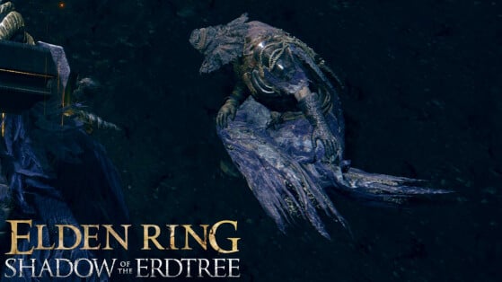 Elden Ring Shadow of the Erdtree