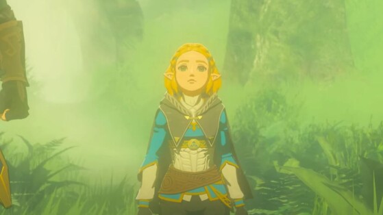 Ce joueur de Zelda Tears of the Kingdom crée un véhicule qui ressemble comme deux gouttes d'eau à cet animal