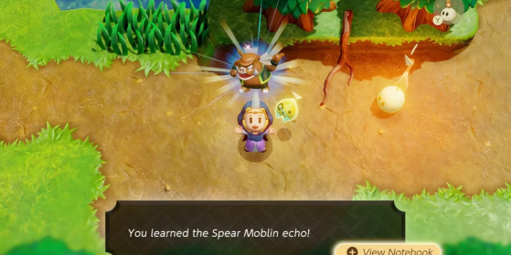 The Legend of Zelda : Echoes of Wisdom