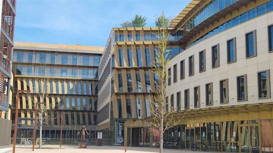 Après des années d'attente, Ubisoft pourrait enfin faire revenir l'une des mascottes les plus mythiques du jeu vidéo