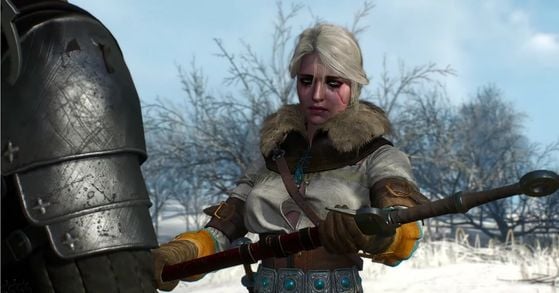 The Witcher 3 : Wild Hunt