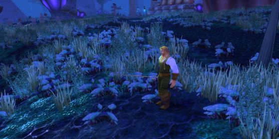 WoW Burning Crusade : Juno Dufrain - World of Warcraft