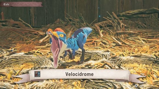 Monster Hunter Stories 3 : Twisted Reflection