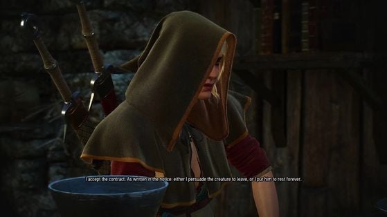 The Witcher 3 : Wild Hunt