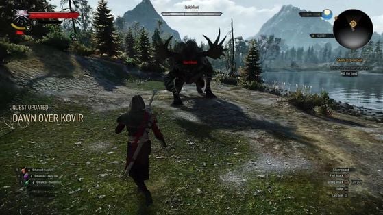 The Witcher 3 : Wild Hunt