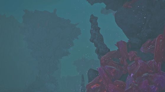 Monster Hunter Stories 3 : Twisted Reflection