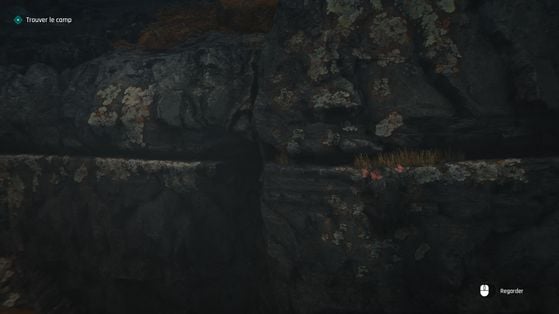 007 First Light