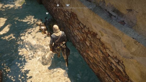 Assassin's Creed Black Flag Resynced