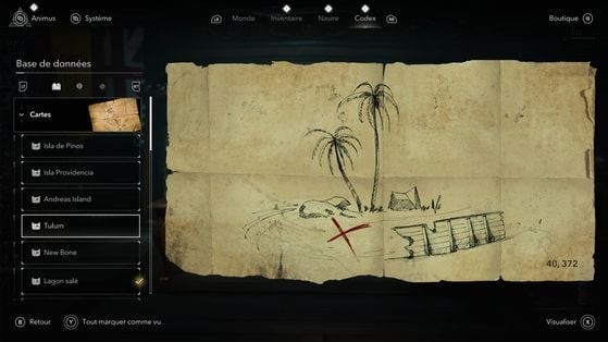 Assassin's Creed Black Flag Resynced