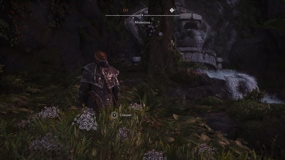 Assassin's Creed Black Flag Resynced