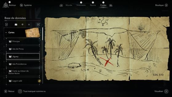 Assassin's Creed Black Flag Resynced