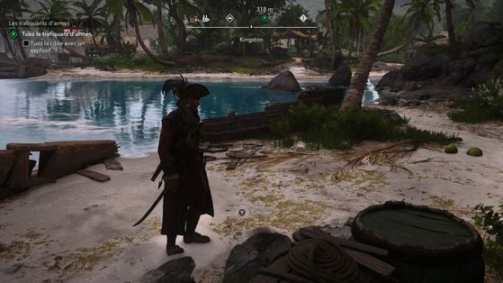 Assassin's Creed Black Flag Resynced