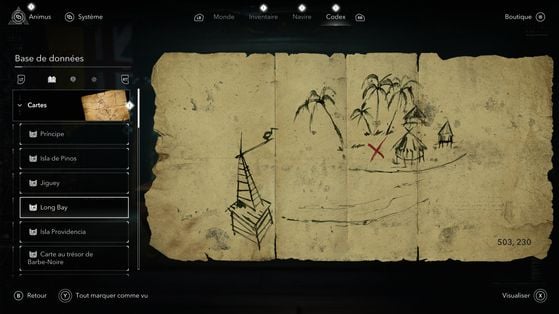 Assassin's Creed Black Flag Resynced