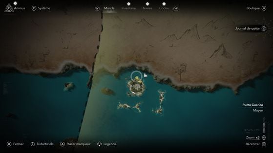 Assassin's Creed Black Flag Resynced
