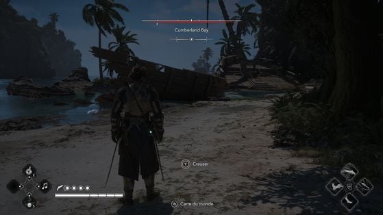 Assassin's Creed Black Flag Resynced