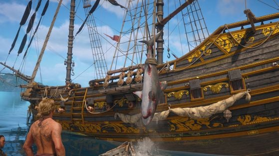 Assassin's Creed Black Flag Resynced