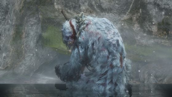 Sekiro : Shadows Die Twice