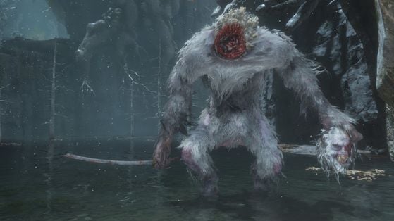 Sekiro : Shadows Die Twice