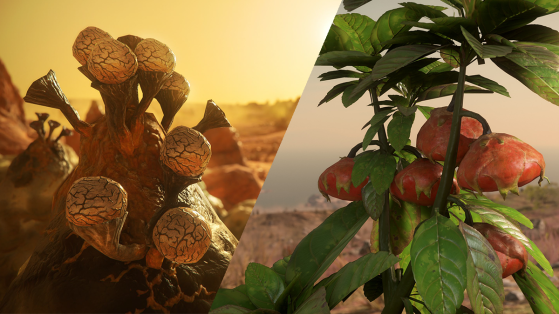 Star Citizen : les objets récoltables (Harvestables)