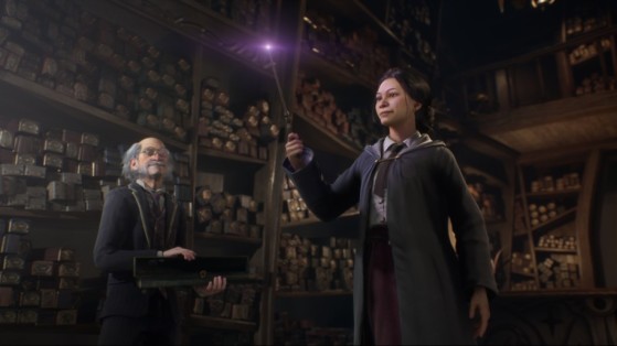 'Hé bien... Faites le geste !' - Hogwarts Legacy : L'Héritage de Poudlard