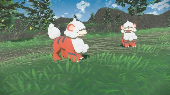 Caninos d'Hisui - Légendes Pokémon : Arceus