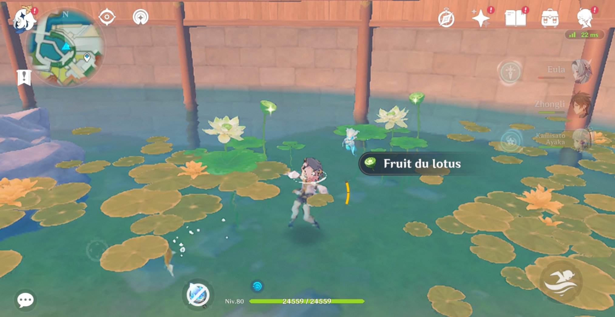 Fruit du lotus Genshin Impact : Où en trouver ? Localisations, recettes ...