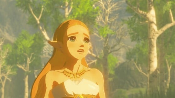 Zelda Breath of the Wild : Nintendo ne fait pas de cadeau au créateur du mod multijoueur...