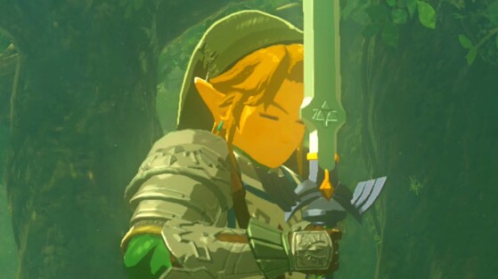 The Legend of Zelda : Tears of the Kingdom