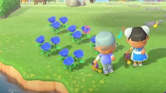 Rose bleue Animal Crossing New Horizons : Comment avoir des roses bleues sur son île ?