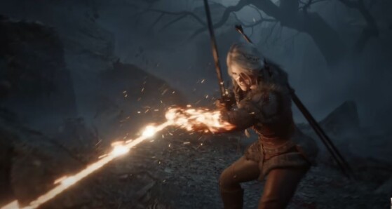The Witcher 4