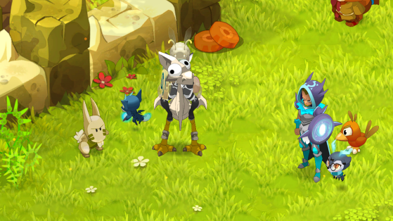 Dofus