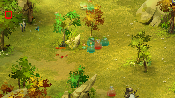 Dofus