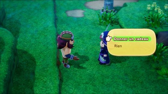 Fantasy Life i La Voleuse de Temps