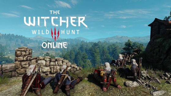 The Witcher 3 : Wild Hunt