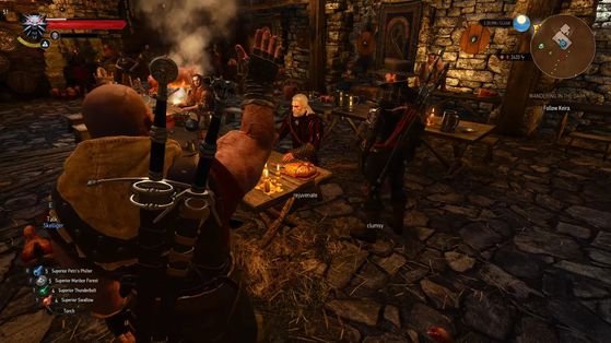 The Witcher 3 : Wild Hunt