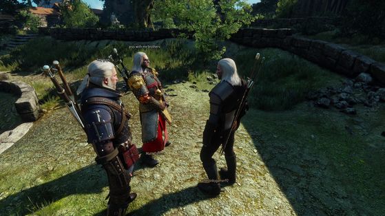 The Witcher 3 : Wild Hunt