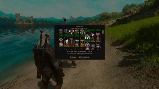 The Witcher 3 : Wild Hunt