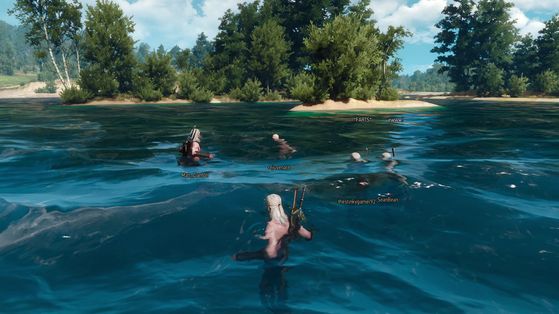 The Witcher 3 : Wild Hunt