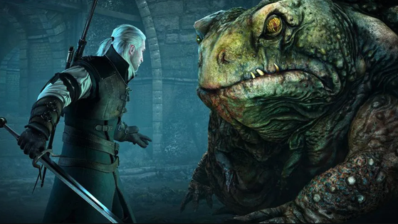 The Witcher 3 : Wild Hunt