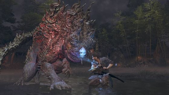 Onimusha : Way of the Sword