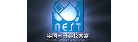 National E-Sports Tournament 2013