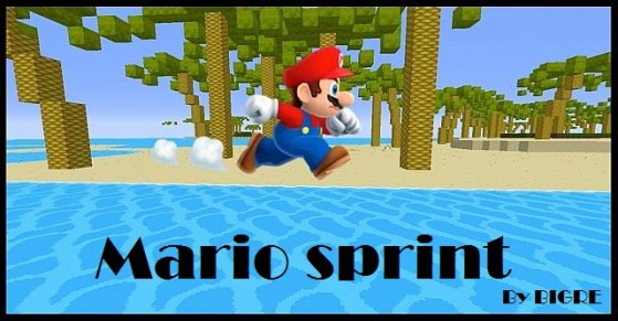 Map PvP : Mario Sprint