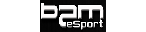 BAM-eSports présente son équipe