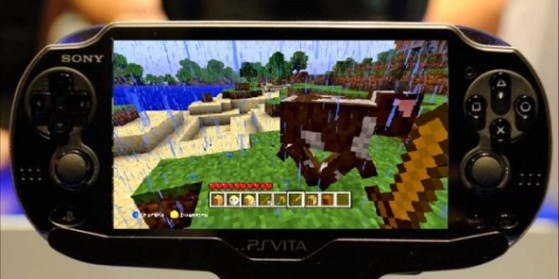 Minecraft Vita : sortie 'physique'