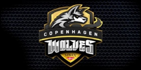 Copenhagen Wolves vend sa team academy