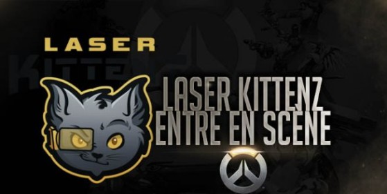 Laser Kittenz, Overwatch