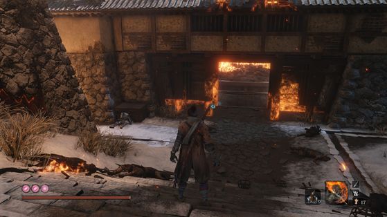 Sekiro : Shadows Die Twice